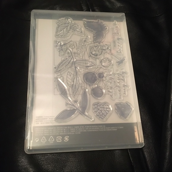 Stampin’Up! Berry Blessings stamp set - Picture 2 of 3